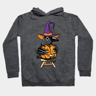 Witchy Raven Hoodie